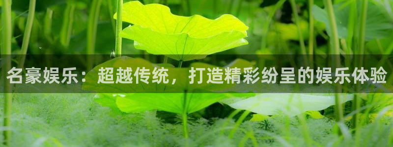 长征平台官网