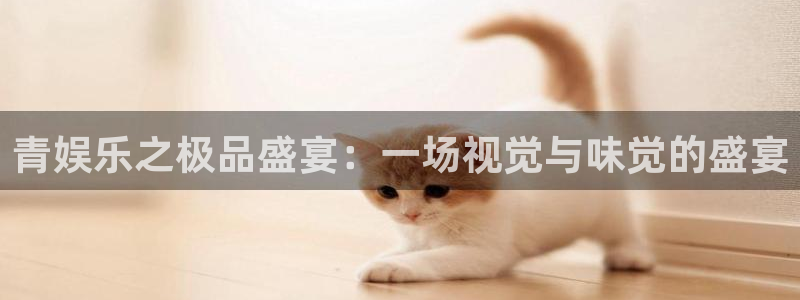 长征平台平台官网入口