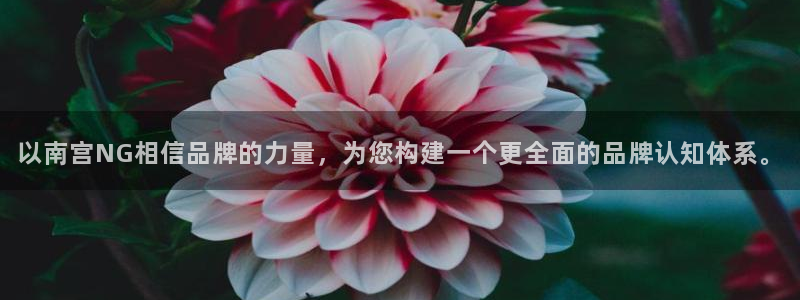 长征平台是啥