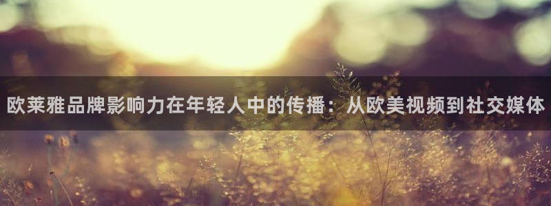 壹号电子娱乐app下载最新版本