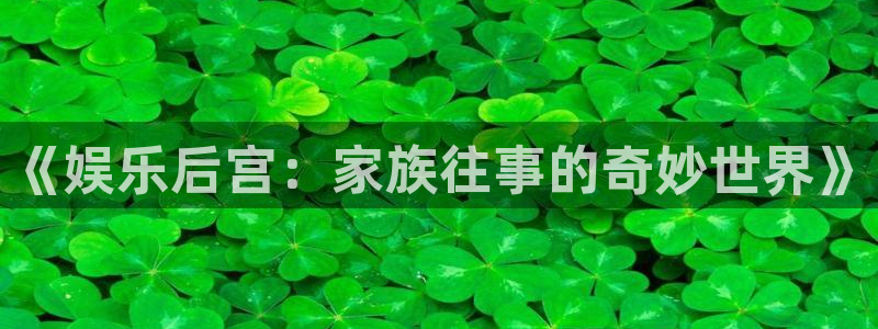 壹号国际app免费下载安装