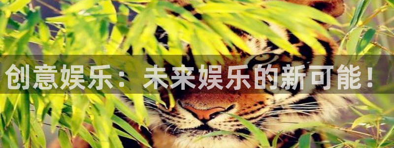 长征平台官方网站下载