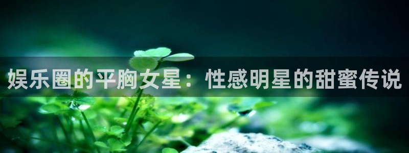 长征平台网站平台