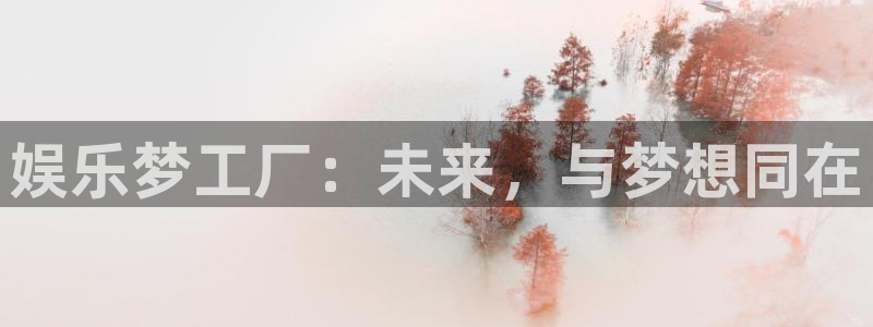 壹号top娱乐