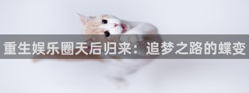 壹号玩家app下载