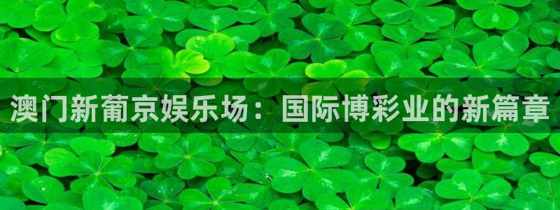 壹号app下载