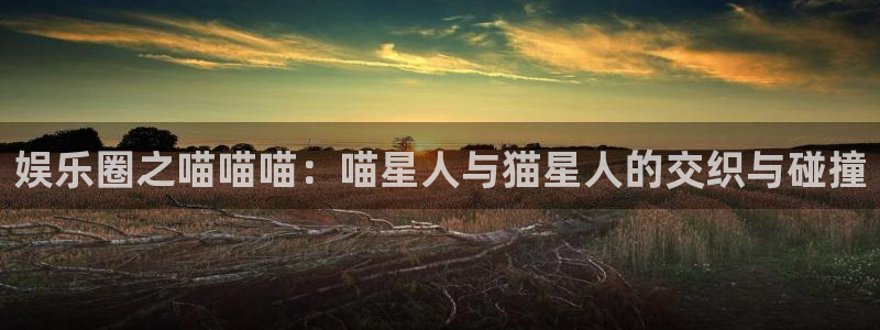 长征平台网站登录流程