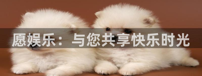 长征平台app下载