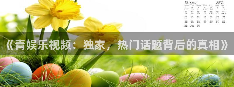 长征平台下载并安装