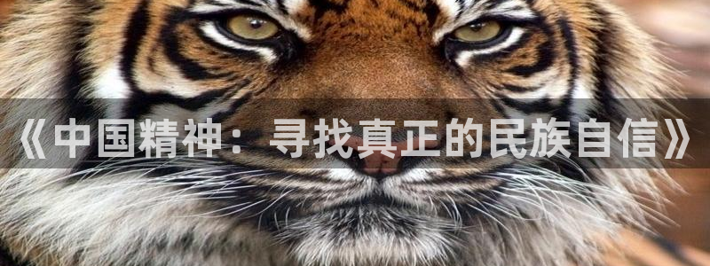 长征平台平台最新版本下载