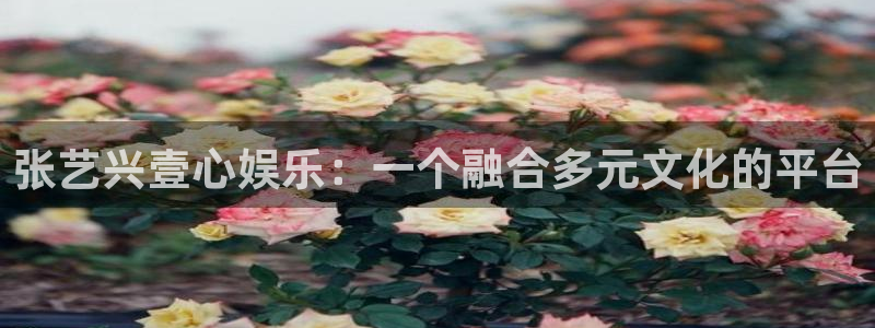 壹号大舞台官网