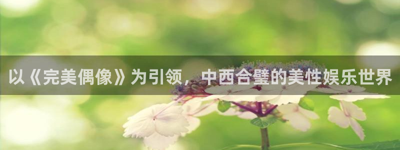 长征平台的平台