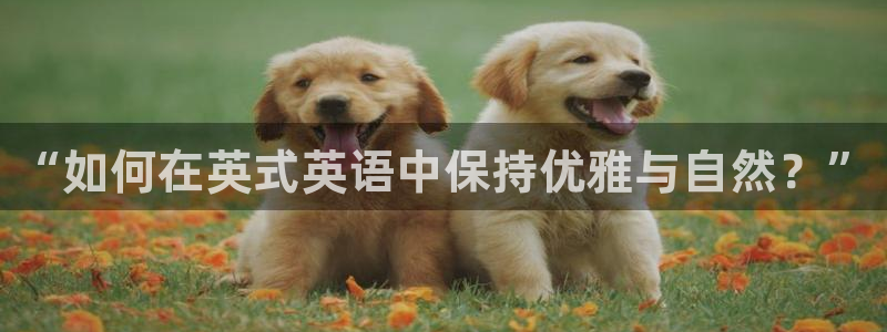 长征平台下载二维码