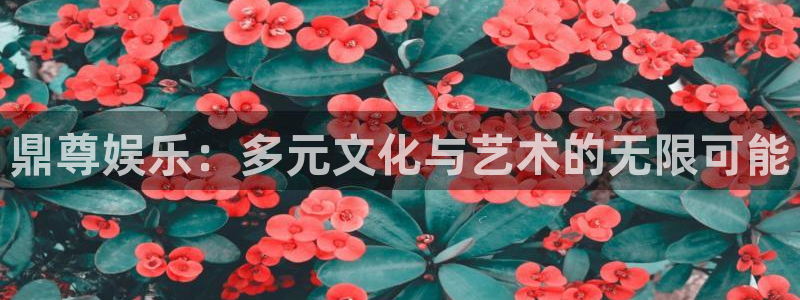 长征平台平台下载入口