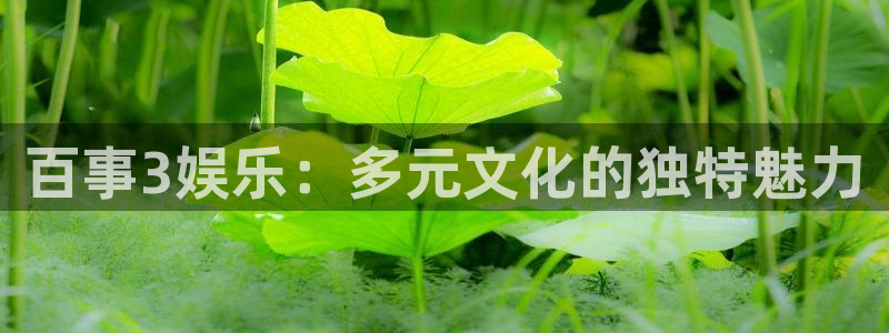 壹号电子娱乐app下载安装最新版本：百事3娱乐：多元文化的独特魅力