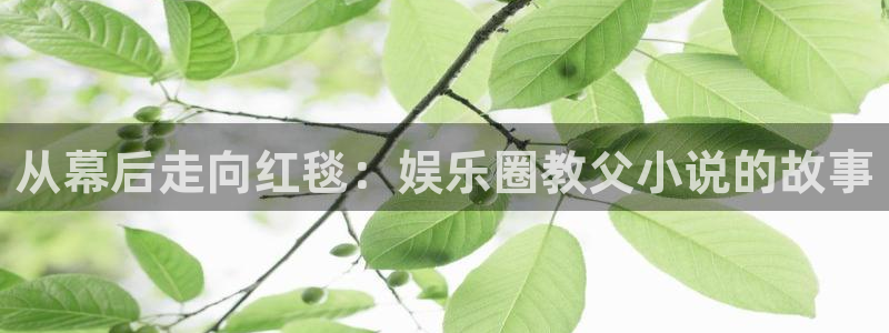 长征平台是大平台吗：从幕后走向红毯：娱乐圈教父小说的故事