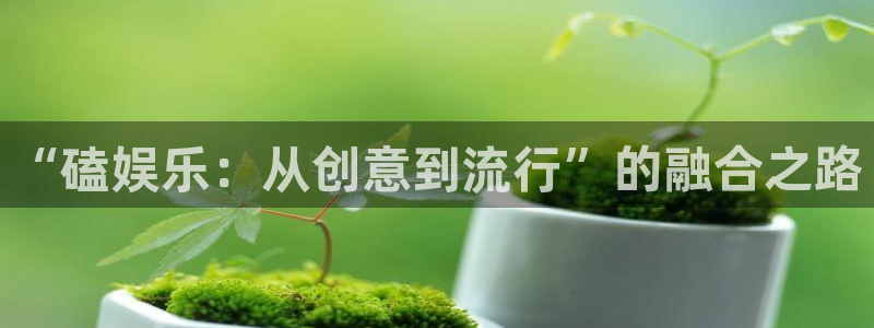 长征平台注册网站链接：“磕娱乐：从创意到流行”的融合之路