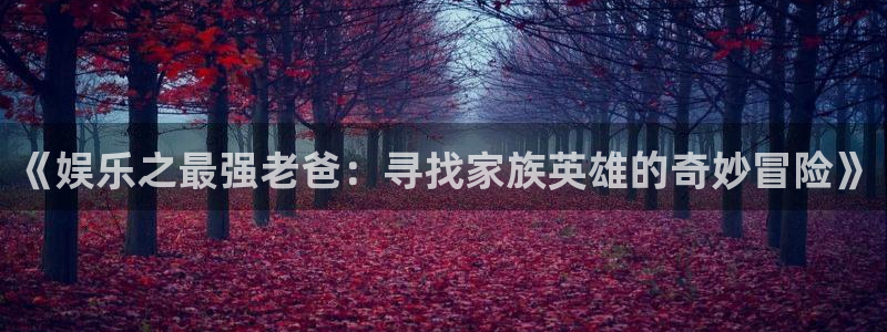 长征平台官网入口：《娱乐之最强老爸：寻找家族英雄的奇妙冒险》