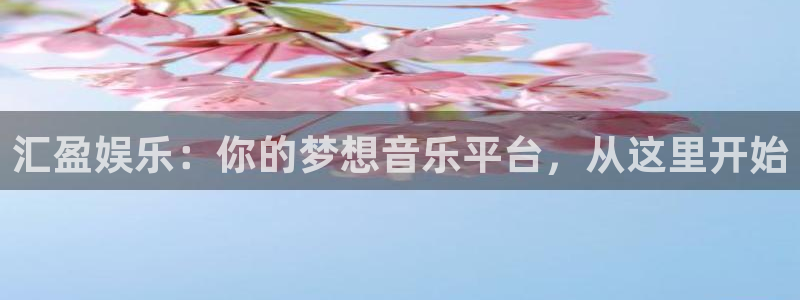 长征平台平台app下载：汇盈娱乐：你的梦想音乐平台，从这里开始