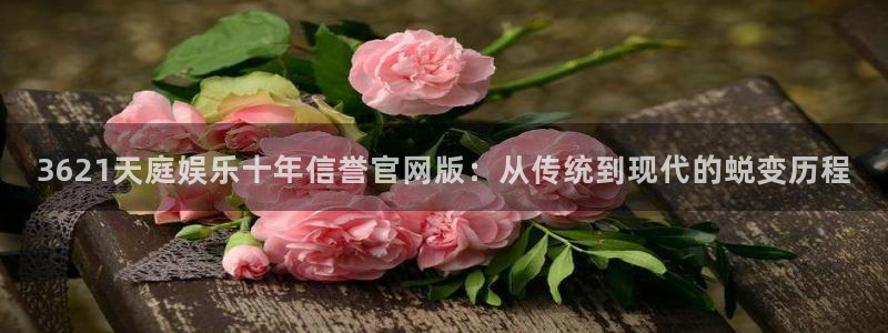 壹号大舞台怎么下载：3621天庭娱乐十年信誉官网版：从传统到现代的蜕变历程