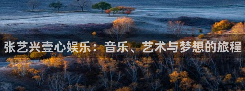 壹号电子娱乐app下载最新版本安装：张艺兴壹心娱乐：音乐、艺术与梦想的旅程