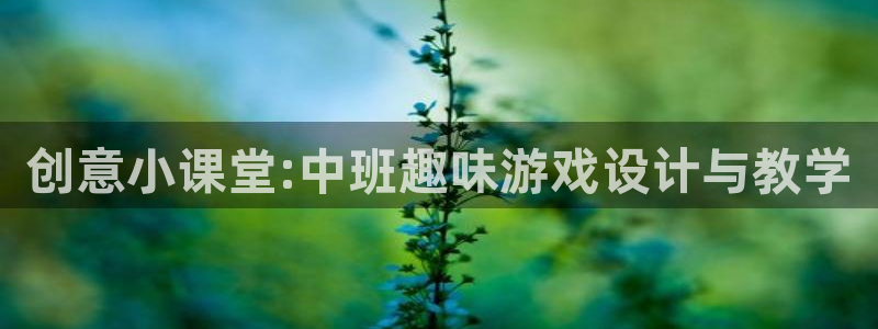 长征平台注册链接入口：创意小课堂:中班趣味游戏设计与教学