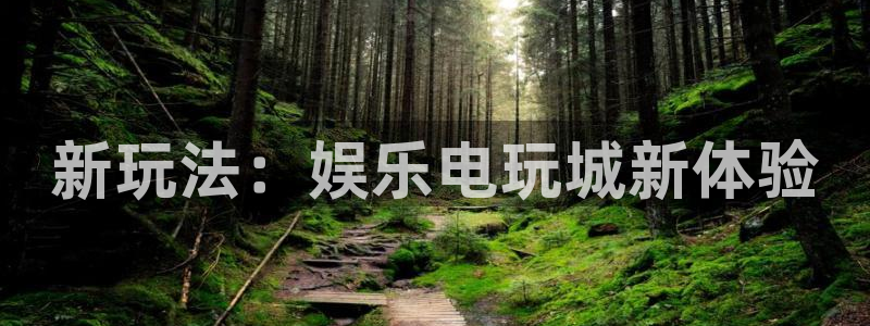 长征平台.ccm官网版：新玩法：娱乐电玩城新体验