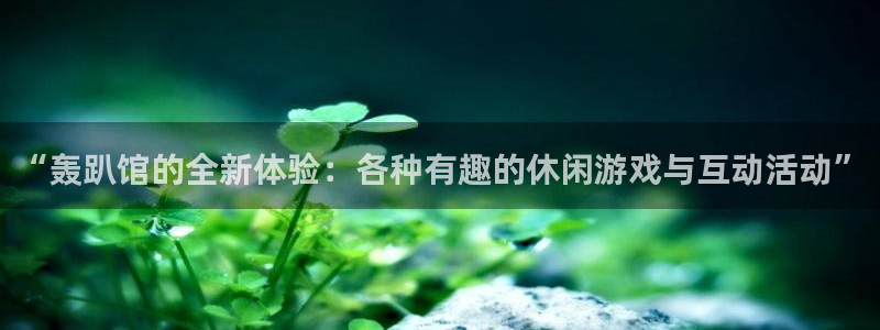 长征平台app下载：“轰趴馆的全新体验：各种有趣的休闲游戏与互动活动”