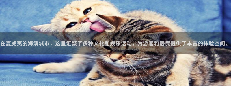 长征平台是真的吗：在夏威夷的海滨城市，这里汇聚了多种文化和娱乐活动，为游客和居民提供了丰富的体验空间。