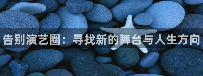 壹号平台app下载安装：告别演艺圈：寻找新的舞台与人生方向