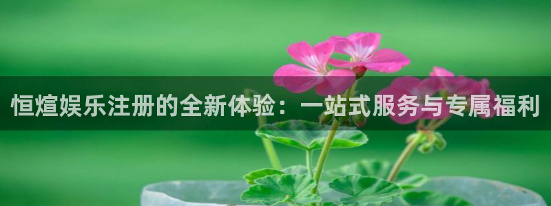 长征平台是真的吗