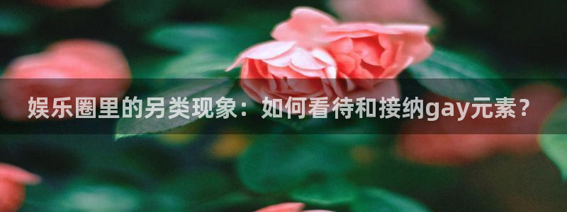 长征平台下载地址：娱乐圈里的另类现象：如何看待和接纳gay元素？