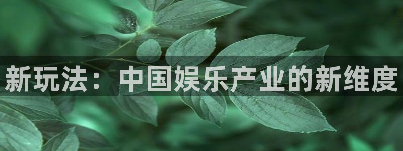长征平台ccmpc：新玩法：中国娱乐产业的新维度