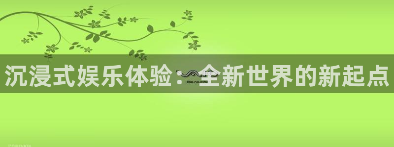 长征平台网站平台：沉浸式娱乐体验：全新世界的新起点